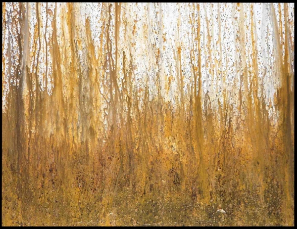 Click here to view Golden Mystique by Dennis Sheil